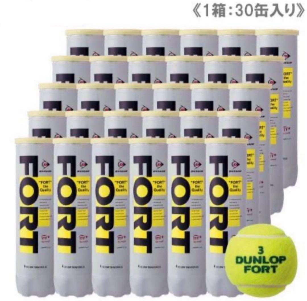 【限定セール】ダンロップ FORT フォート4個入30缶120球 テニスボール