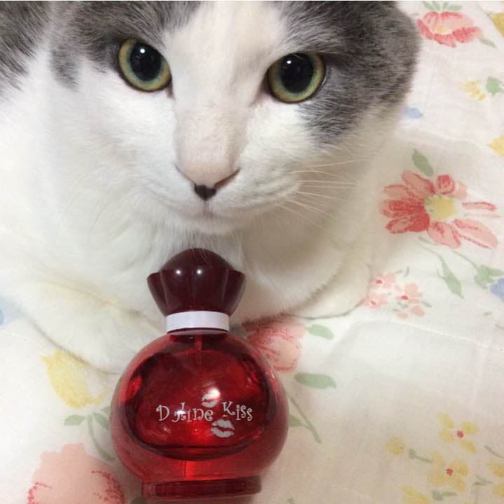 【お取り置き品】ドーリーン キス 100ml