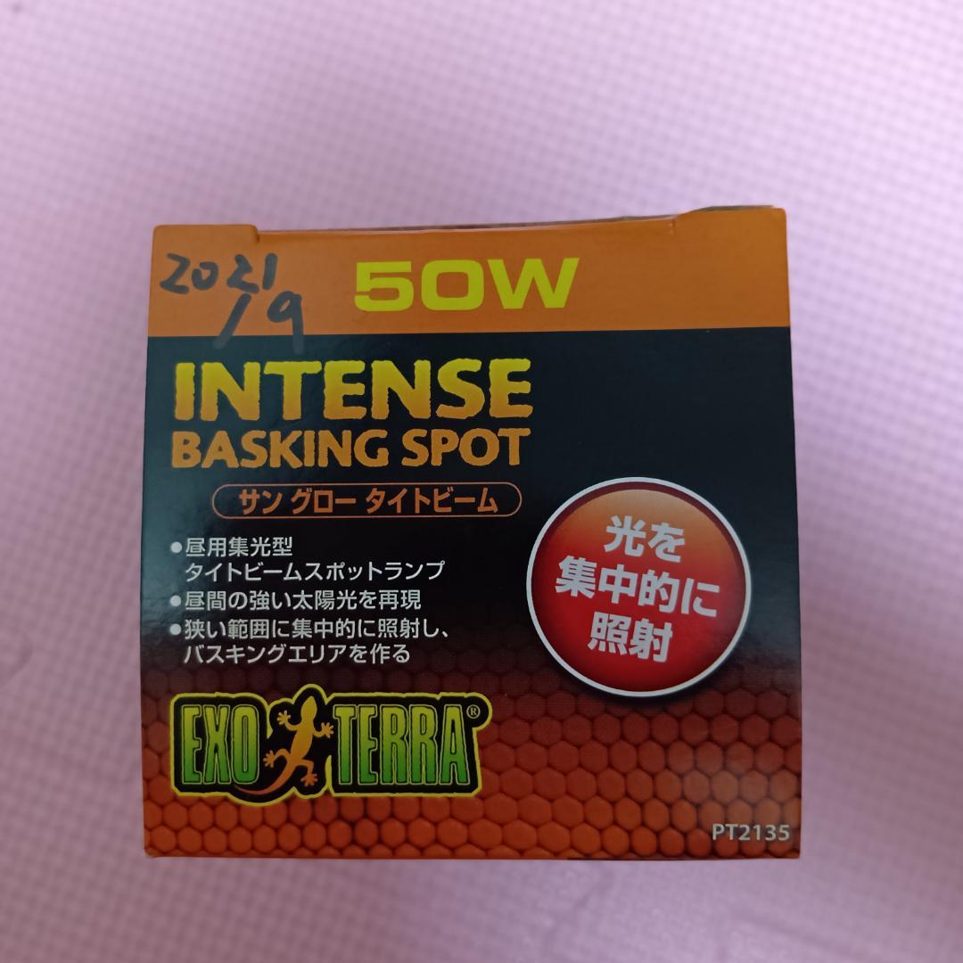 エキゾテラ　グラステラリウム3030　GEX