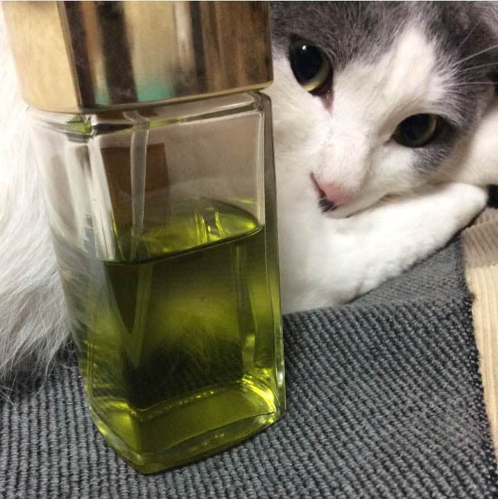 【お取り置き品】シャネル No19  オードトワレ 100ml