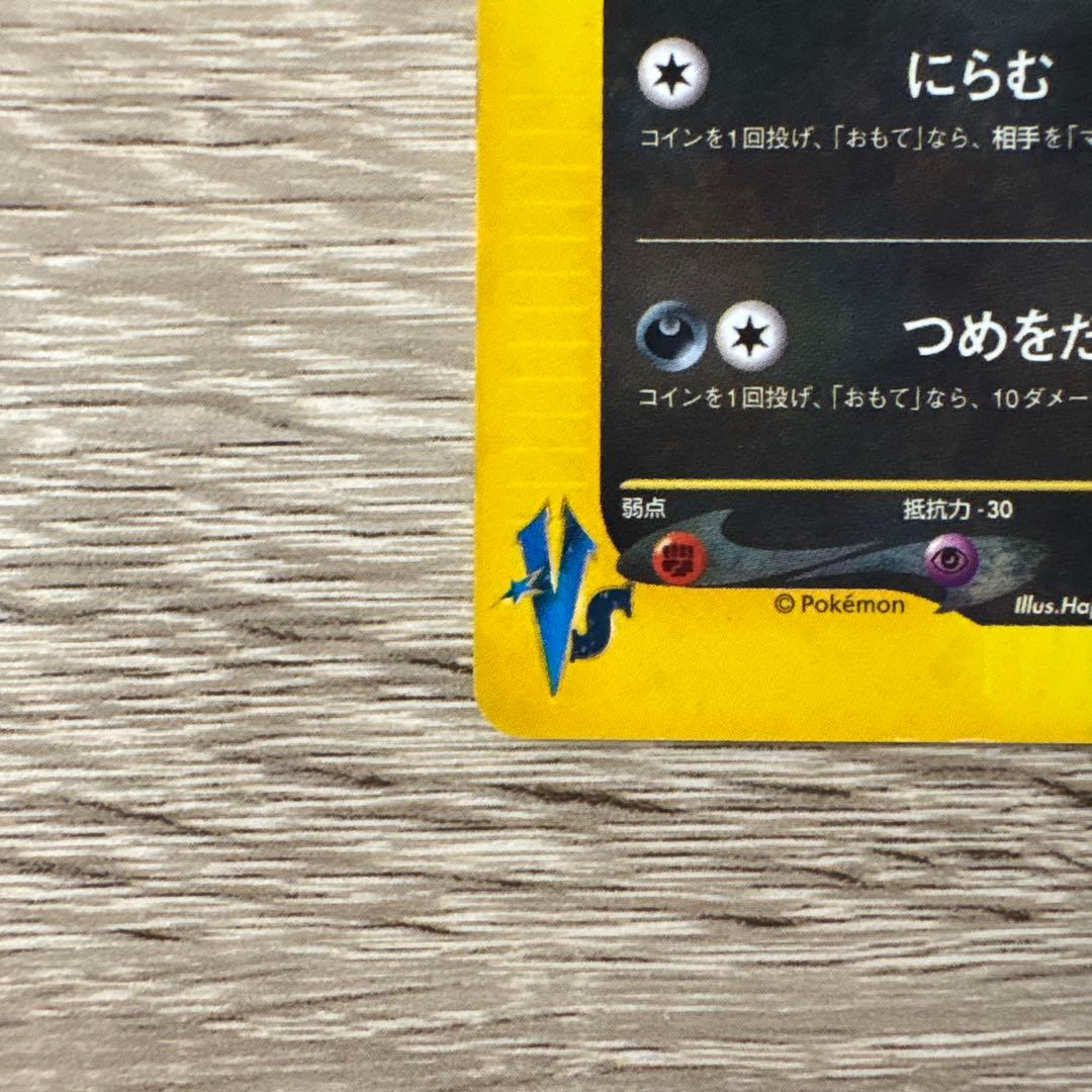 Seizachan　ゼニガメ ブラッキー