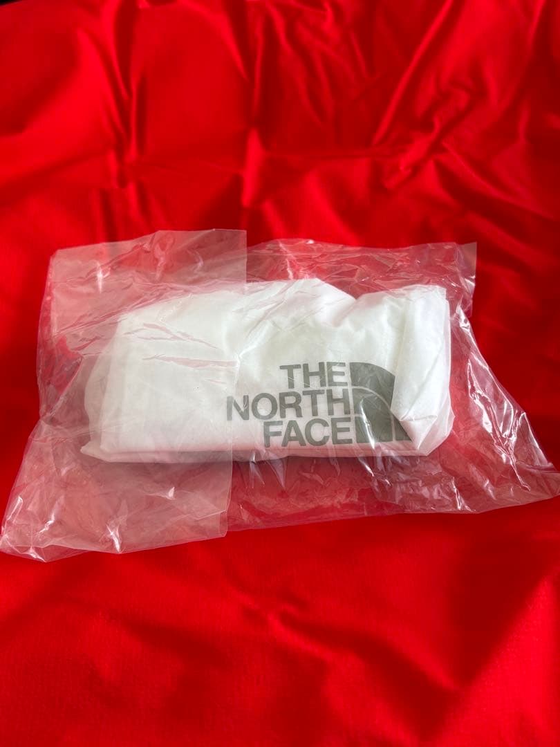 【クリーニング済】THE NORTHFACEバルトロライトジャケット 赤M
