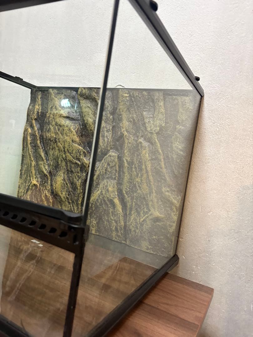 グラステラリウム 6045 GEX 爬虫類　ケージ　60cm 水槽