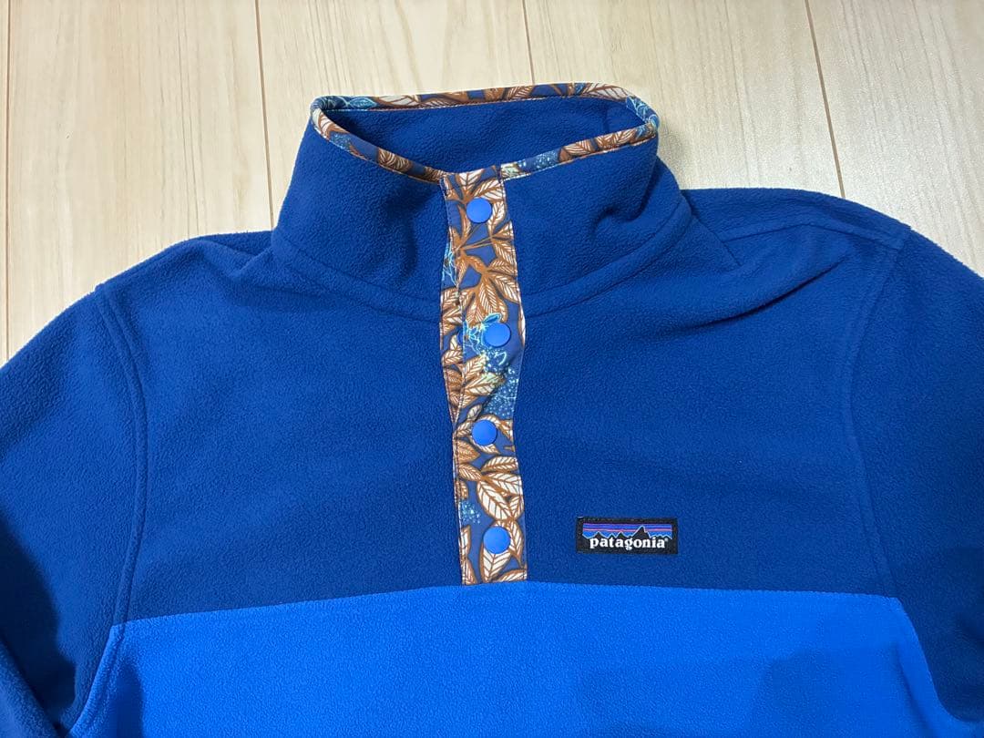patagonia パタゴニア マイクロD スナップT
