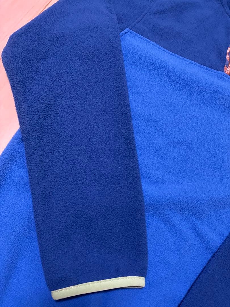 patagonia パタゴニア マイクロD スナップT