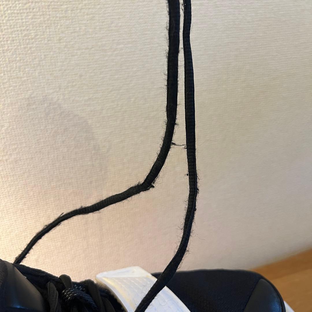 シューズ(男性用) PG2.5 Nike 26.5cm