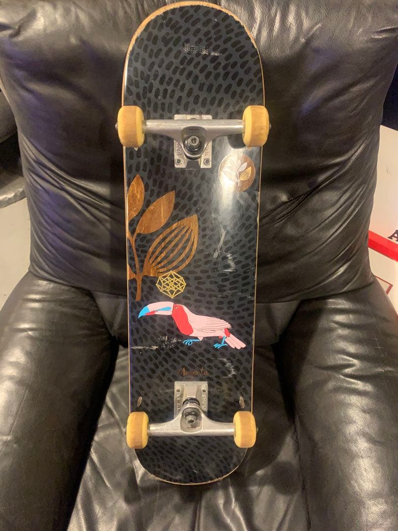 magenta (マジェンタ) スケボー