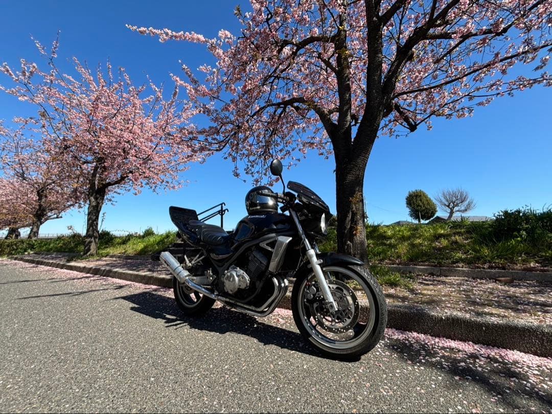 バリオスⅠ型　ロングテール塗装済