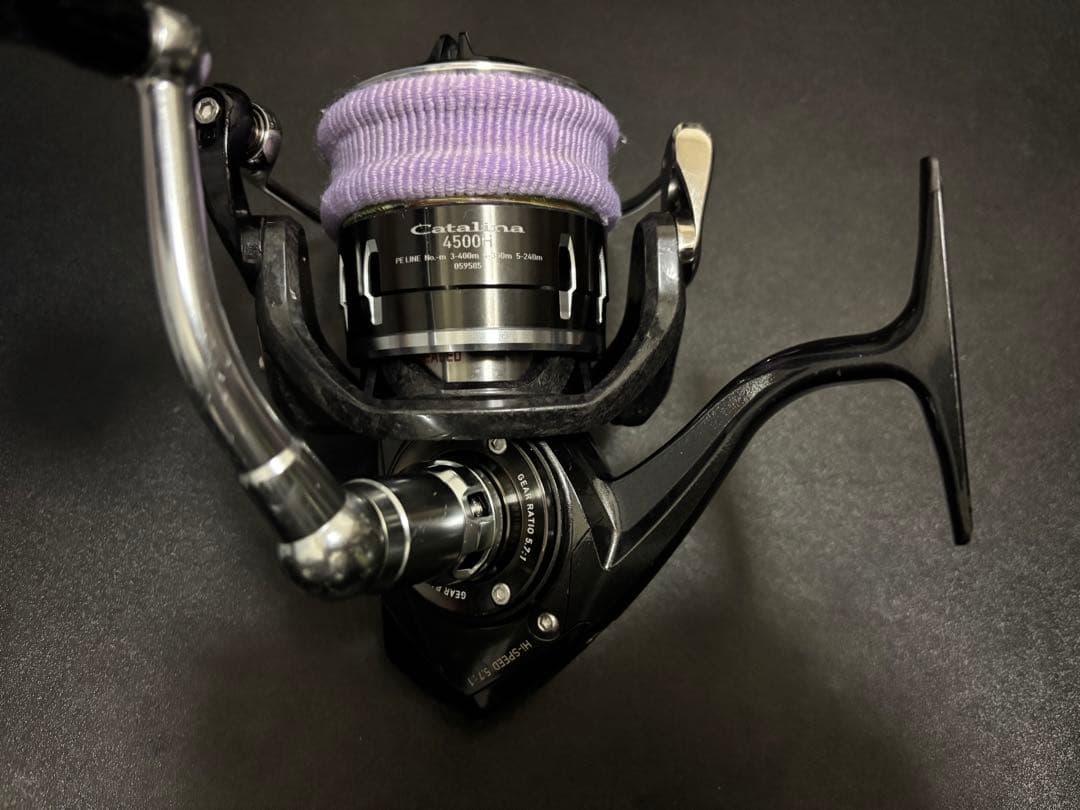 16キャタリナ4500H