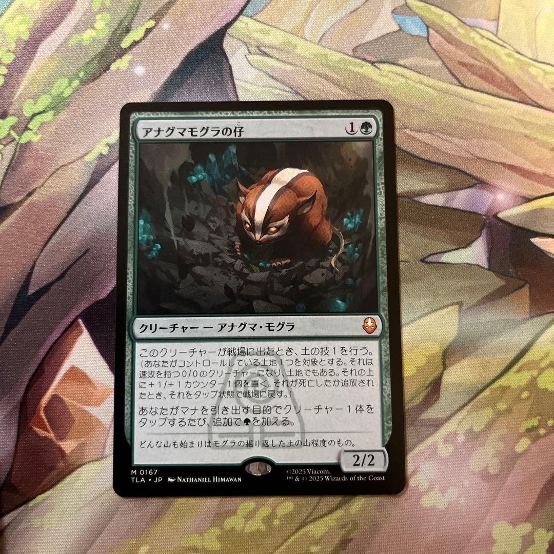 d5142 MTG アナグマモグラの仔