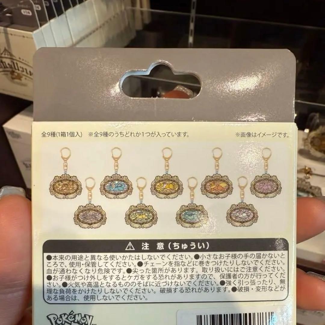 ポケパークカントー 9種コンプ ポケパーク キーホルダー イーブイ ポケモン