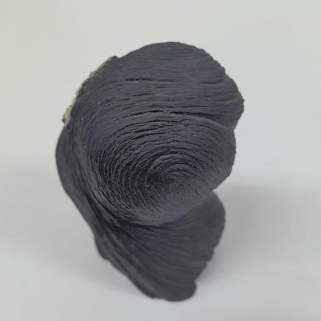 ハワイのフラの女神「ラカ」　黒珊瑚礁