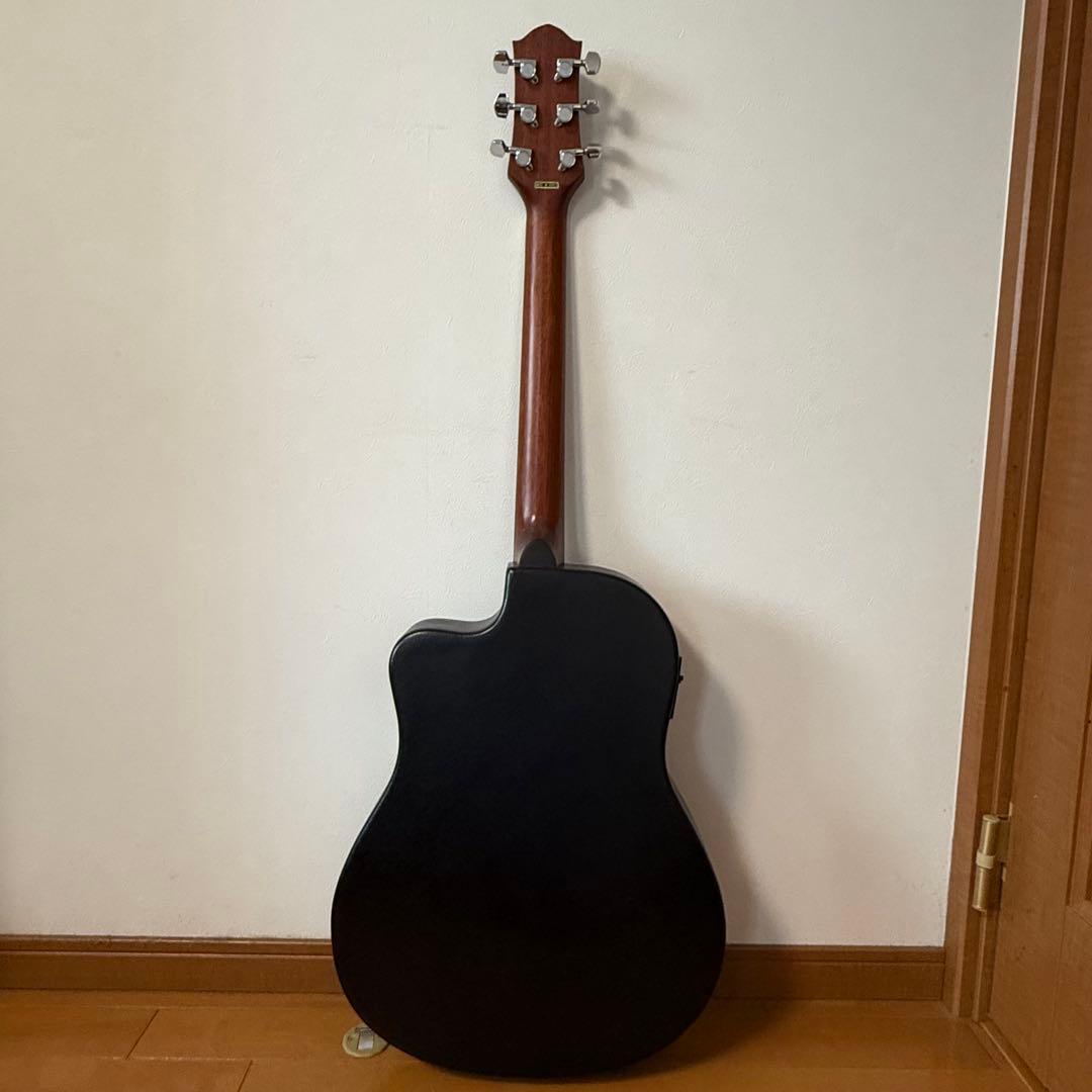 Legend(レジェンド) LMB-25 エレアコ ケース ピック カポタスト付