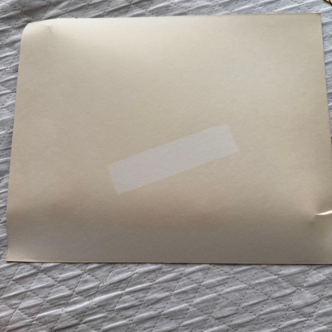 【WDW】 ディズニーワールド ピンバッジコレクション