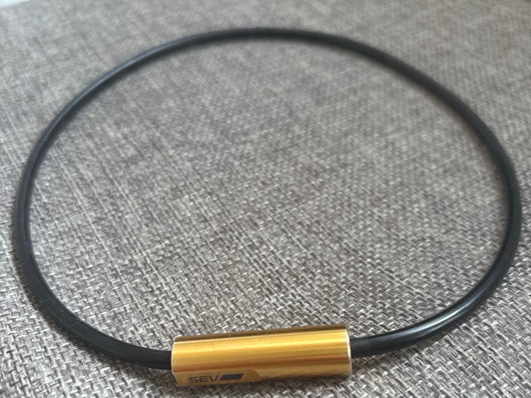 値段交渉大歓迎！ 【定価30800円】SEV Looper