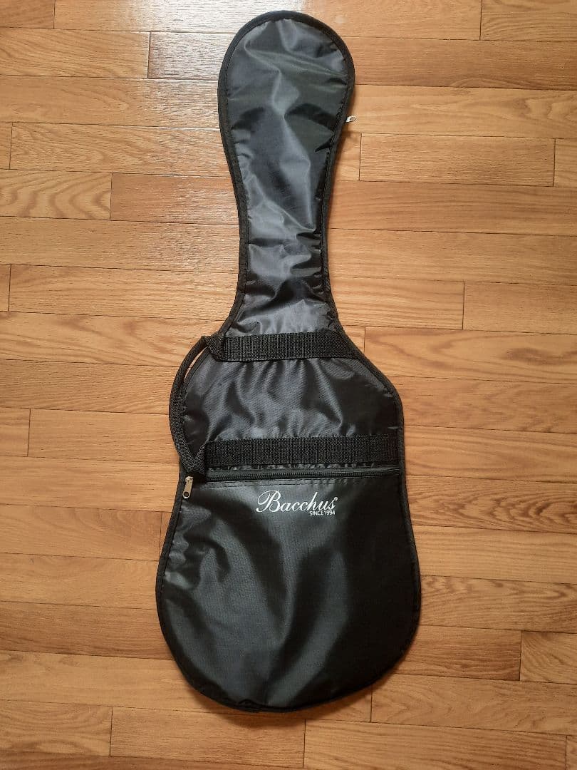 Bacchus BST 2 RSM/R エレキギター ライトブルー