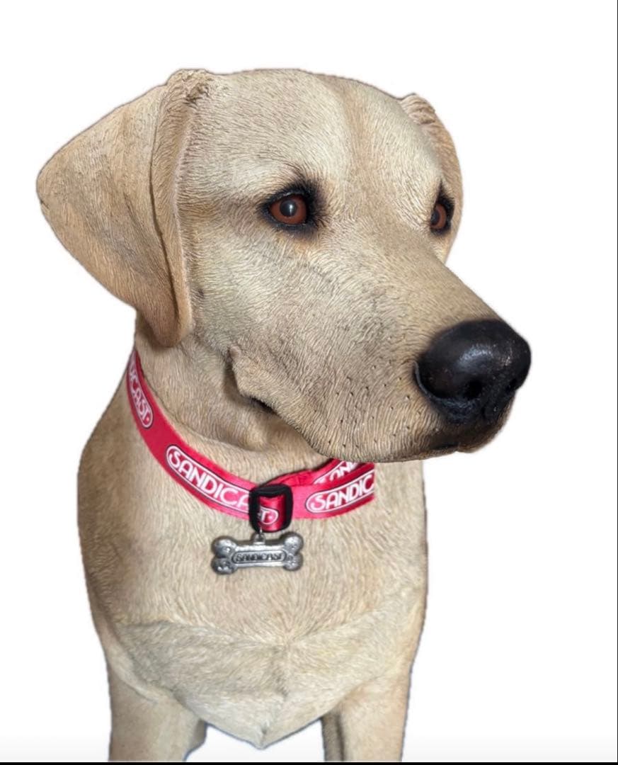 サンディキャスト　ラブラドールレトリバー　犬　置物　オブジェ　リアルドッグ