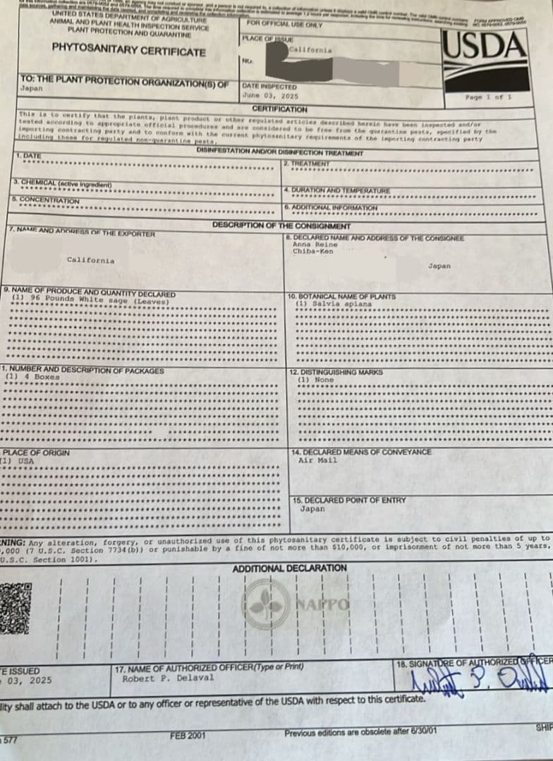 セール☆無農薬ホワイトセージ枝無しリーフ1kg箱入りお香浄化業務用価額お得