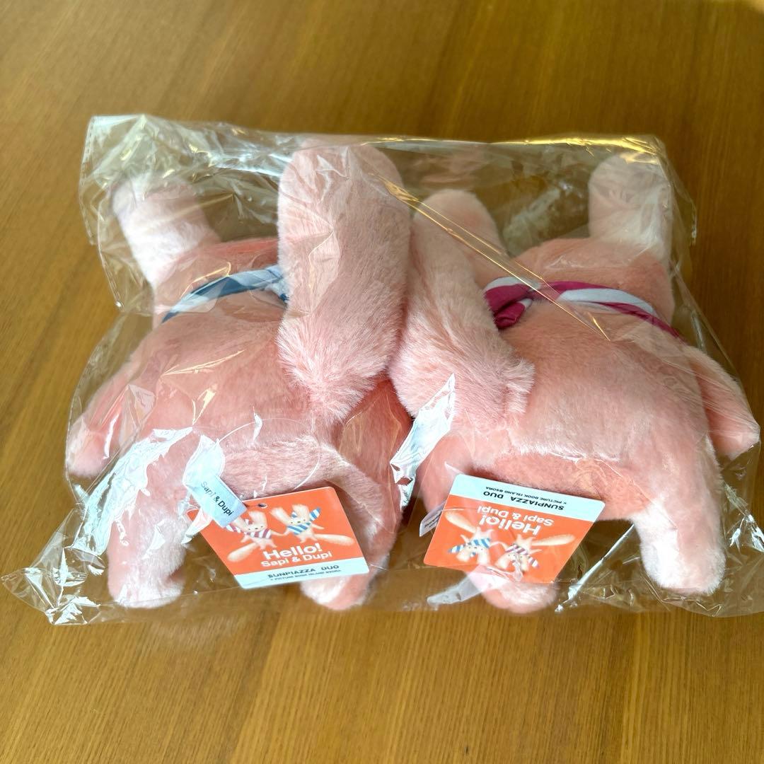 [未開封][限定]北海道札幌市懸賞　えぞリス　ぬいぐるみ　2体セット