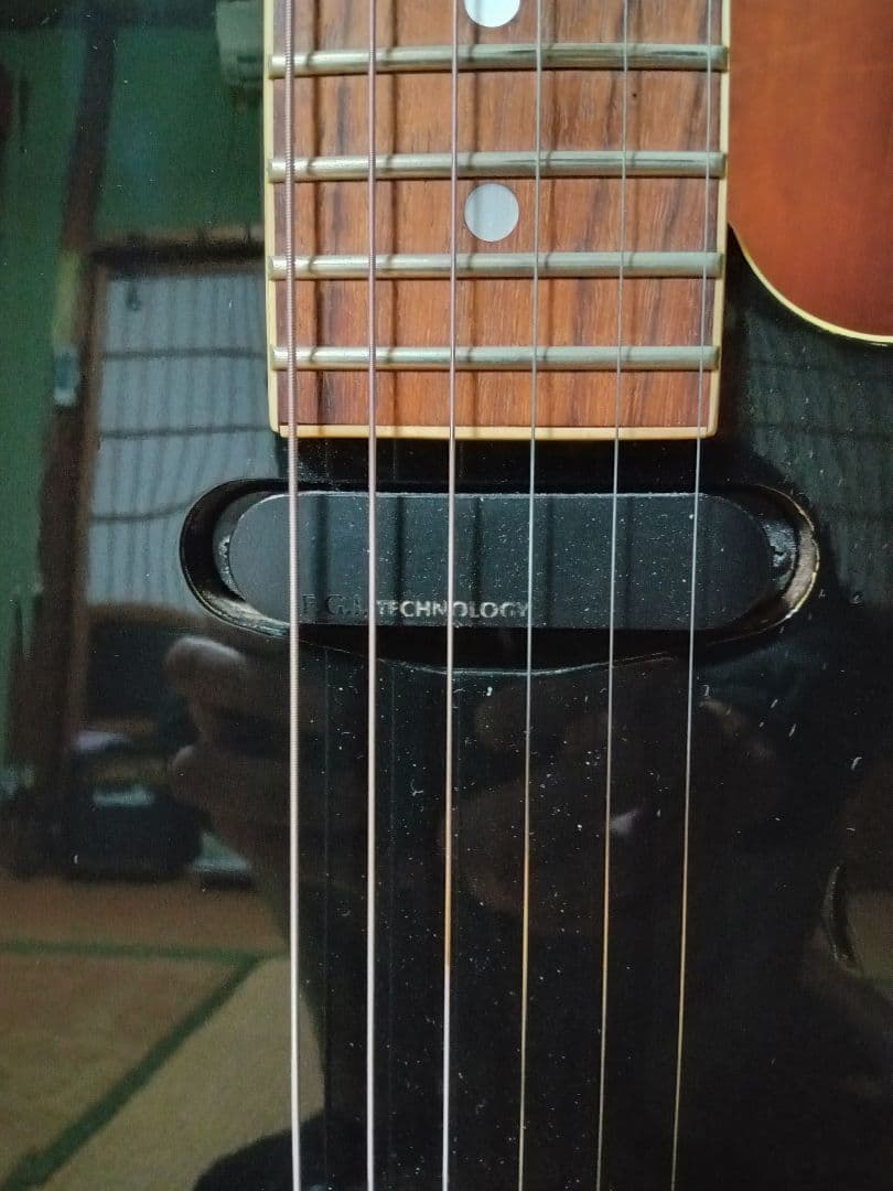 FERNANDES TEJ-70　ジャンク