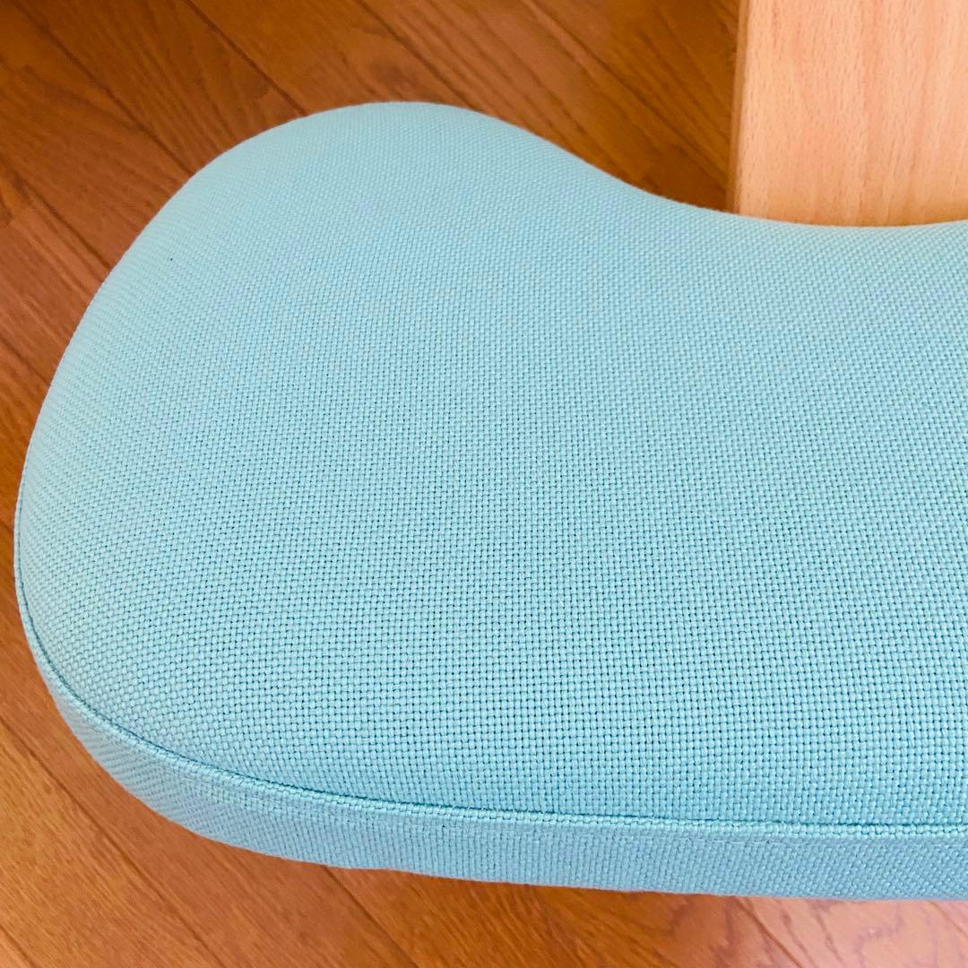 サカモトハウス バランス　チェア イージー balance easy 姿勢矯正