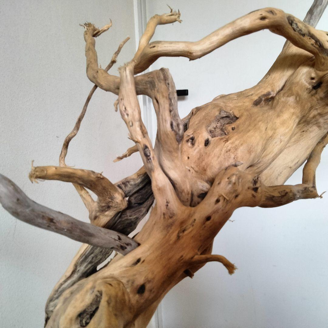 おつぶバードアスレチックジム㊽ 天然木 自然木 流木 止まり木 インコ