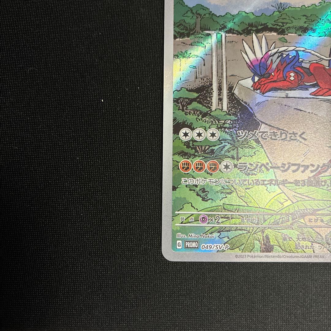 ミライドン　コライドン　シールド戦プロモ