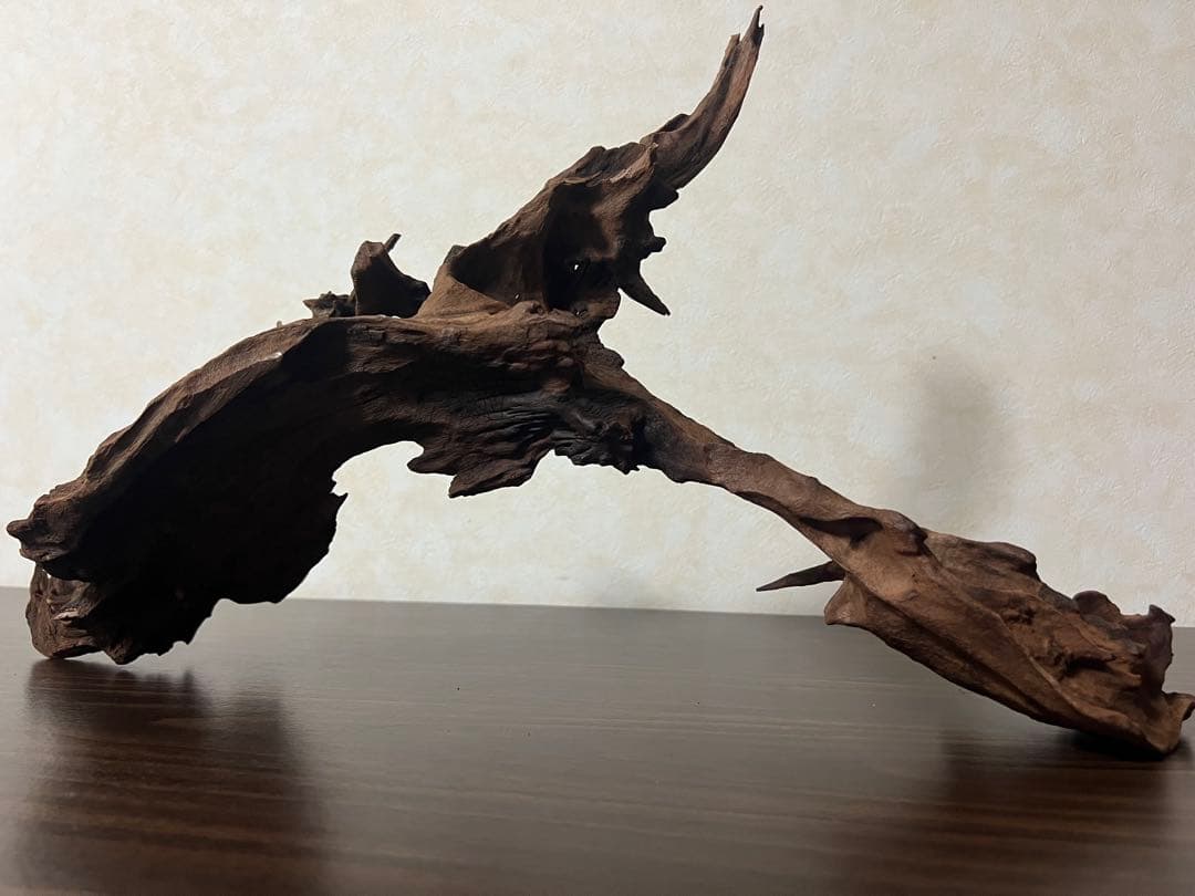 HX-057流木　マシンガンウッド　ホーンウッド アクアリウム　ブランチウッド