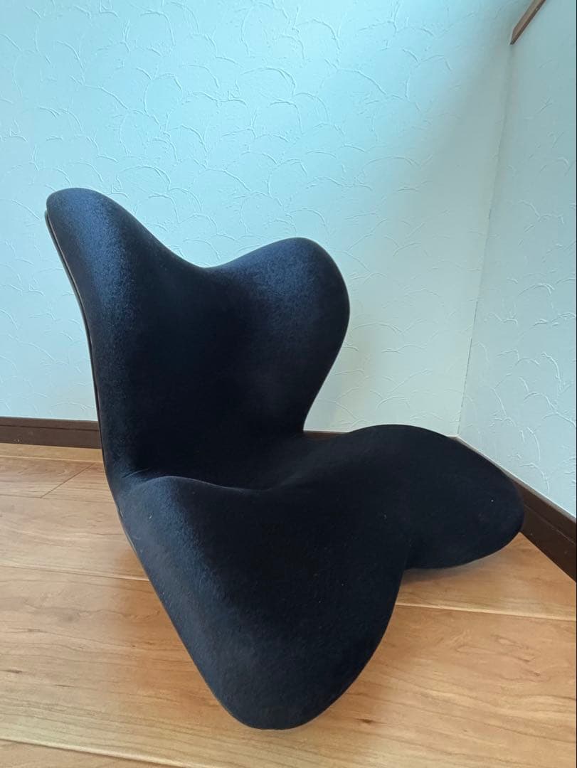 美品 Style PREMIUM DX スタイルプレミアムデラックス　ブラック