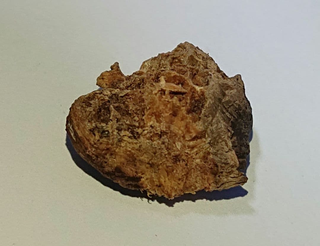 聞香・柬蒲寨産 根瘤黄花梨