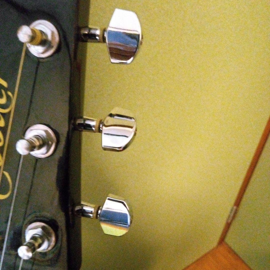 ツバメ11日迄Takamine Cooderエレアコギター大特価‼️