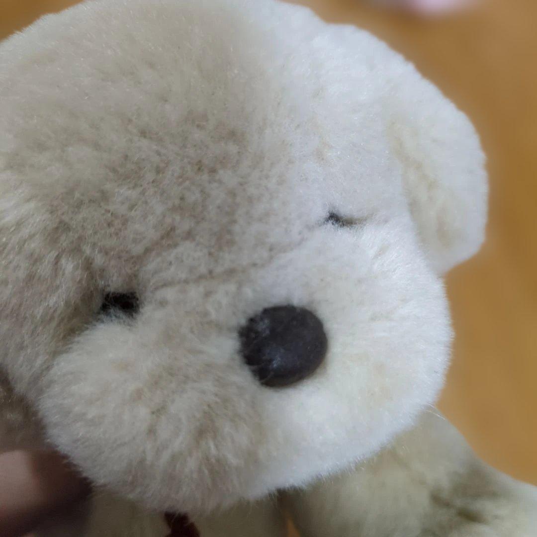 専用 ✽ うめ吉　寝そべりポーズ