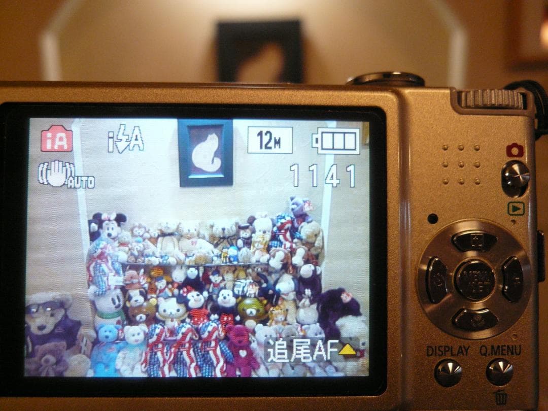 LUMIX★DMC-FX40⭕️安心の実働品★5倍ズーム1210万画素