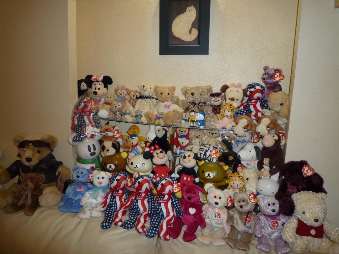 LUMIX★DMC-FX40⭕️安心の実働品★5倍ズーム1210万画素