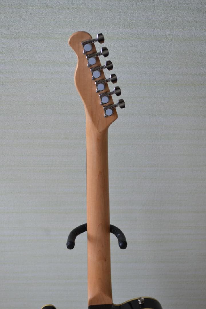 Bacchus UNIVERSE SERIES テレキャスタイプ