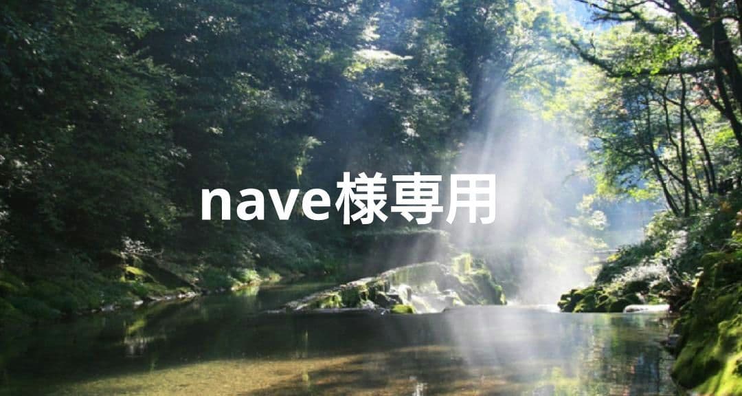 nave✨特典付電磁波防止✨本物CMCペンダントUSA版強力 2本お値引き