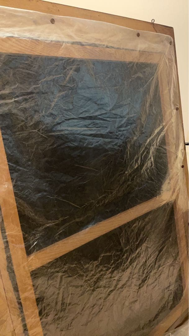 油絵　ヌード　ビロード