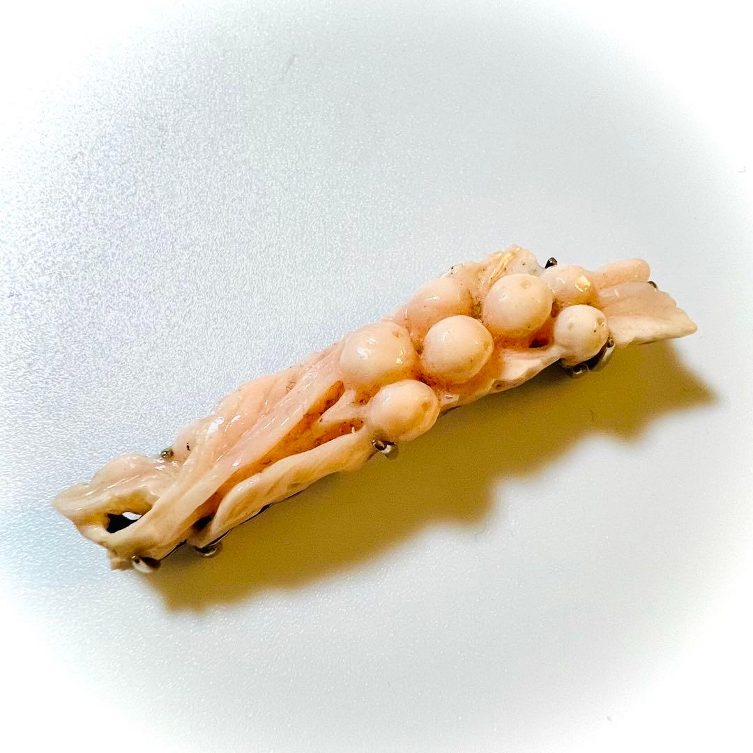 赤珊瑚　帯留め　アンティーク　K14 WG 刻印