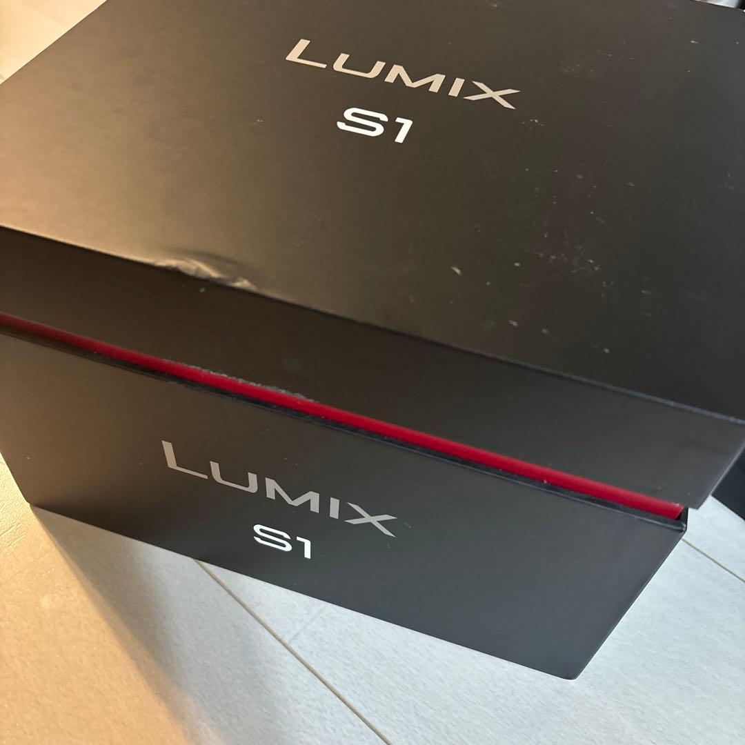【少し訳あり・海外版】Panasonic LUMIX S1 ボディ