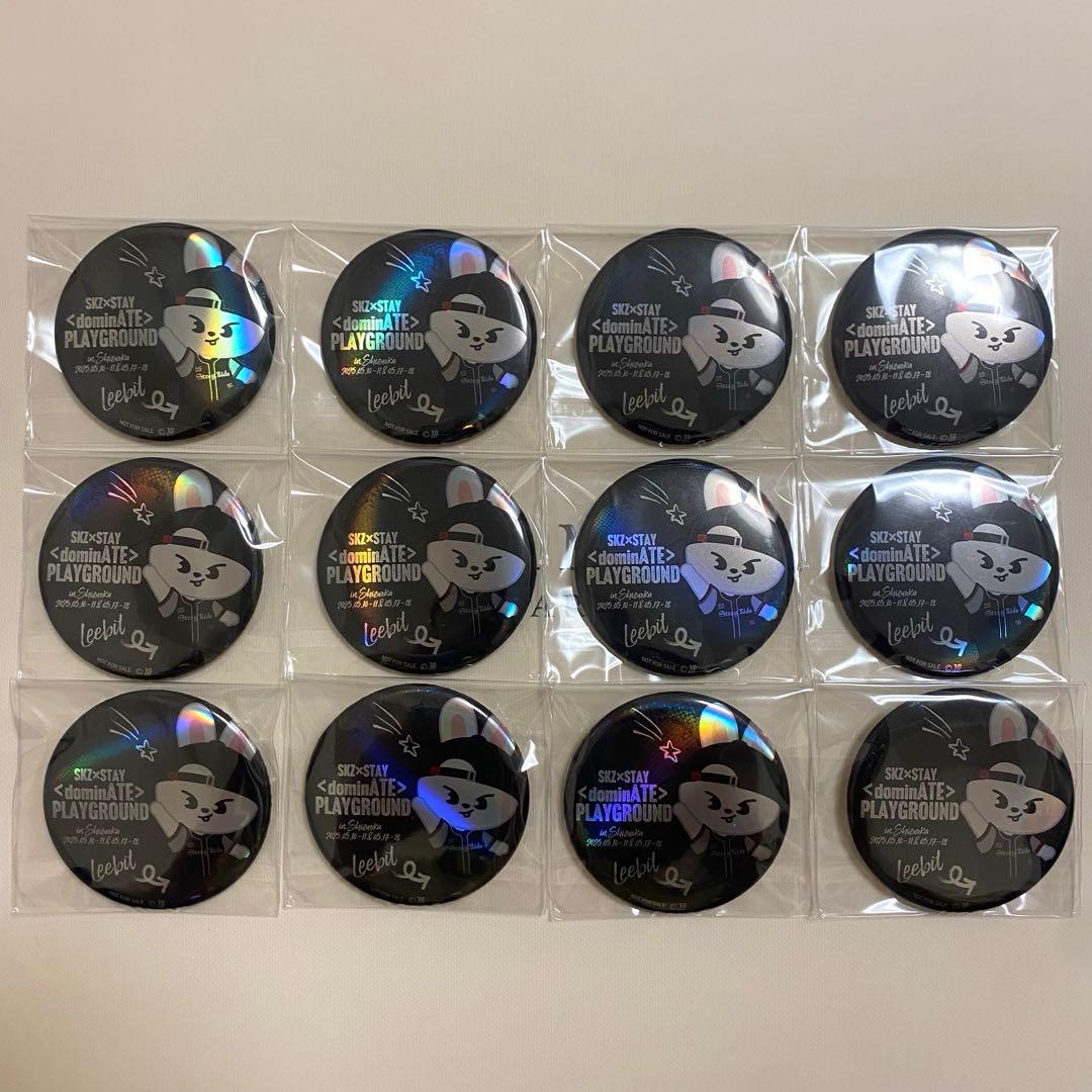 12点 StrayKids スキズ Leebit リービット 缶バッジ エコパ