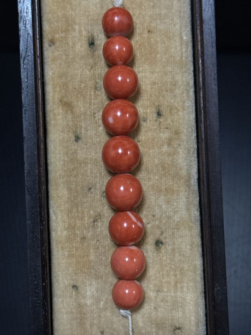 時代 本珊瑚 玉 緒締玉 髪飾 唐木箱付