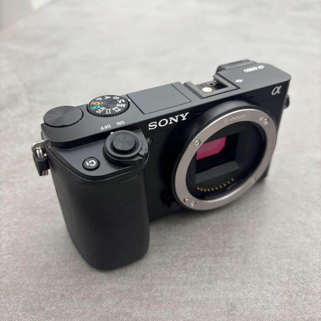 ミ*ギ様 SONY α6000 ミラーレス一眼カメラ レンズセット+ SEL35