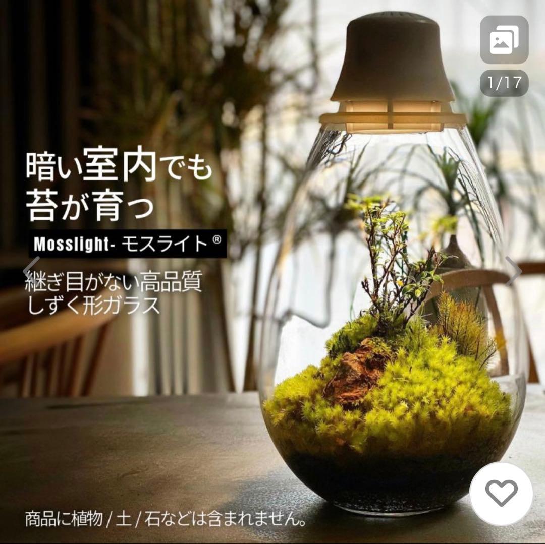 Mosslight LED アクアリウム　テラリウム　苔