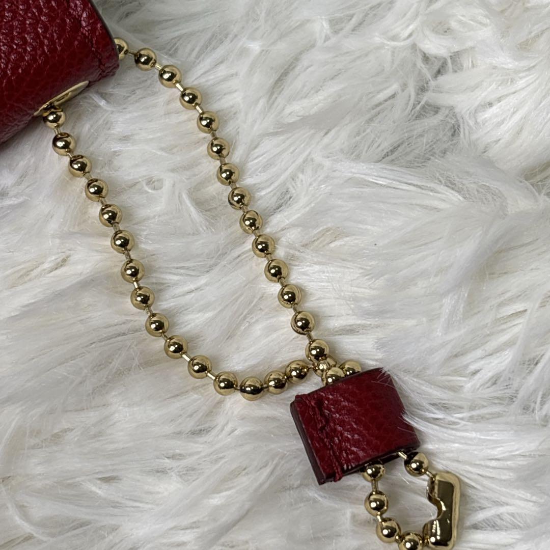 新品　BALLY カードケース　名刺入れ チェーンストラップ付き