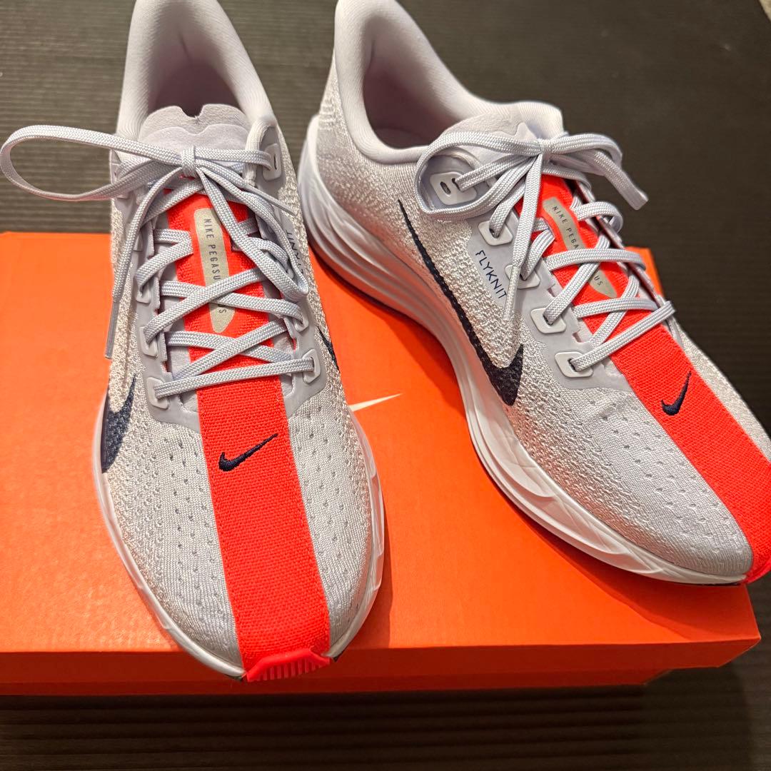 ペガサスプラス 26.0cm