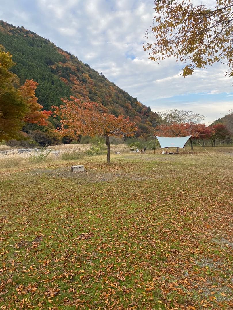 Coleman ヘキサライトプラス