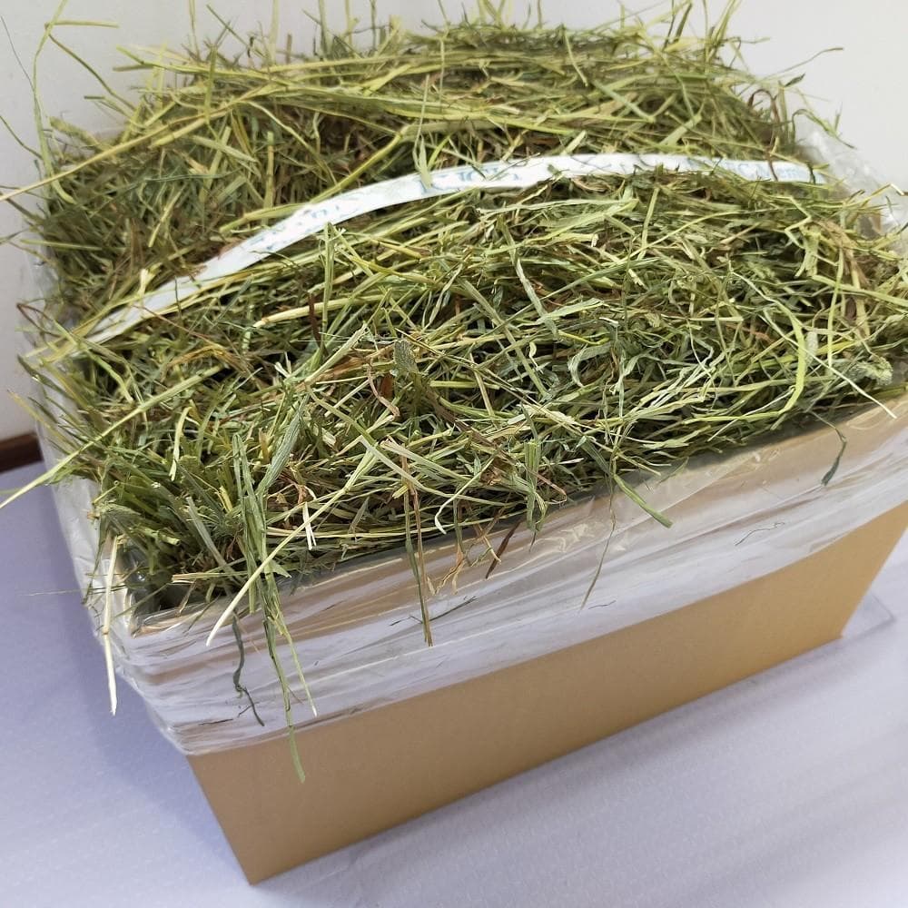 【処分価格】US産 チモシー 75kg ２番刈 ソフトSプレミアム