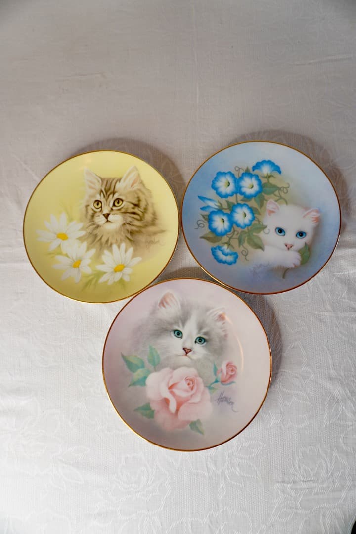 イギリス ヴィンテージ 猫 絵皿 3枚セット コレクションプレート