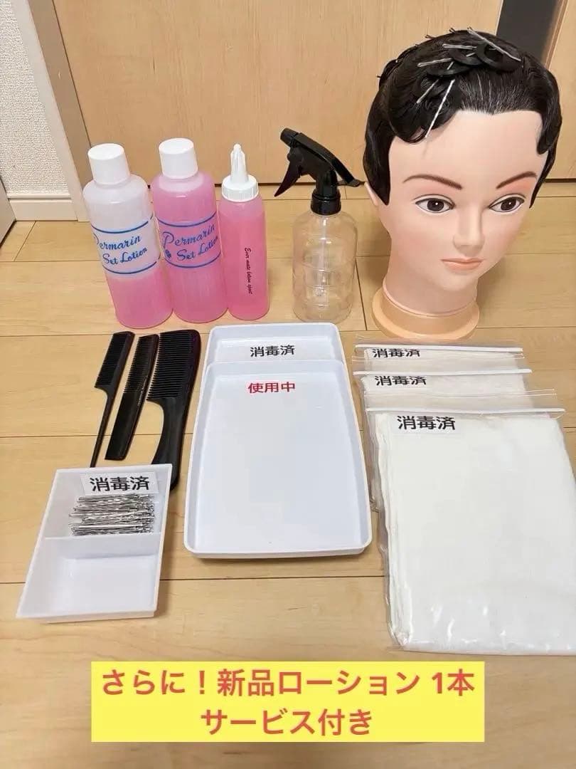 ほぼ新品✨国家試験合格者使用ウィッグ オールウェーブ1式 ローションサービス付き