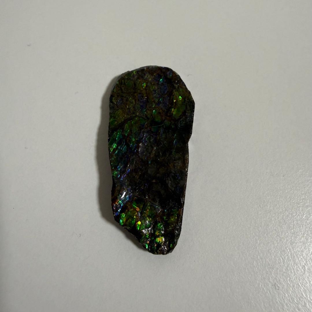 【美遊色】アンモライト 原石 15g アンモナイト化石 標本 コレクション